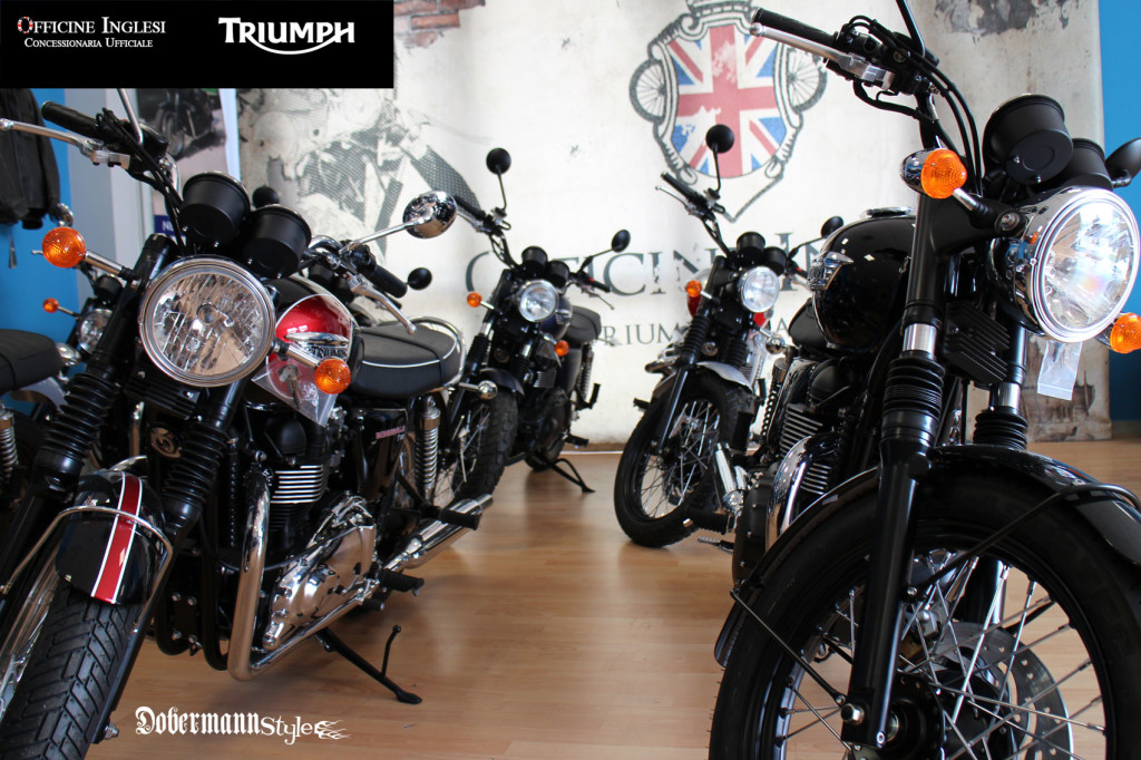 TRIUMPH_2014